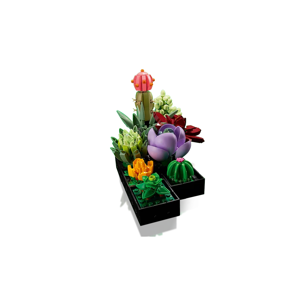 LEGO Botanische collectie - Vetplanten - 10309