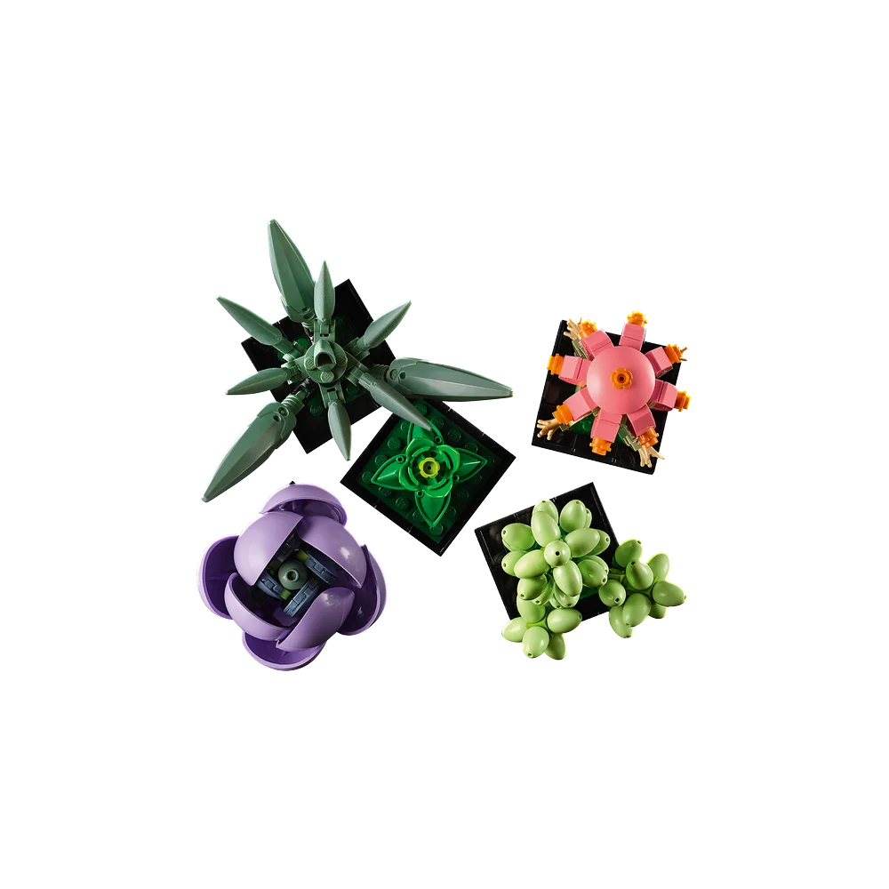 LEGO Botanische collectie - Vetplanten - 10309