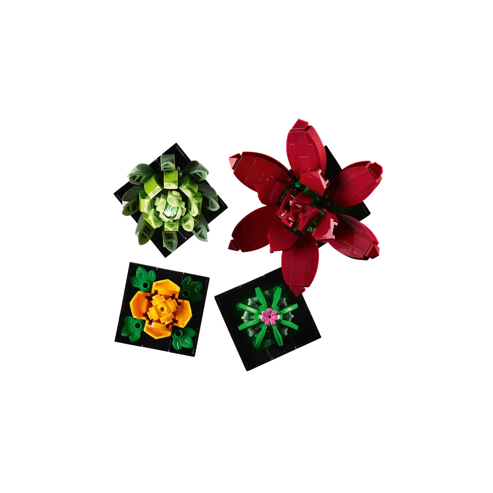 LEGO Botanische collectie - Vetplanten - 10309