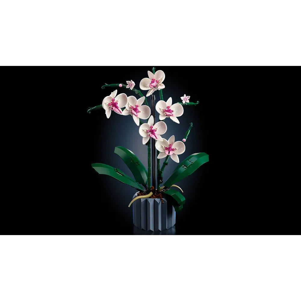 LEGO Botanische collectie - Orchidee - 10311