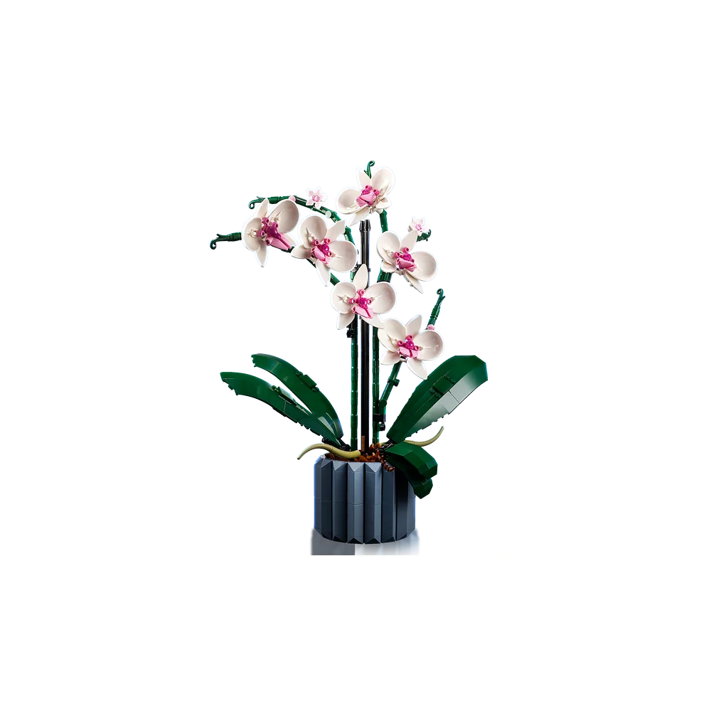 LEGO Botanische collectie - Orchidee - 10311