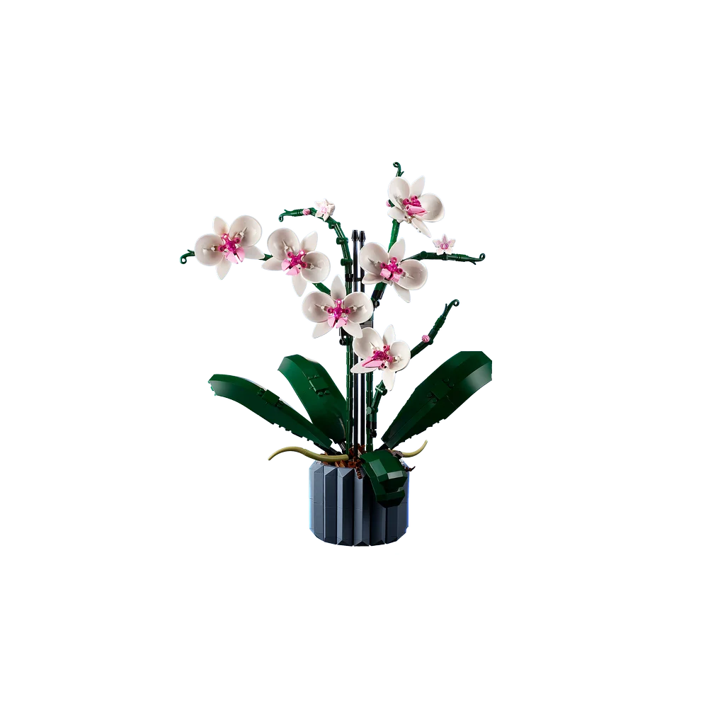 LEGO Botanische collectie - Orchidee - 10311
