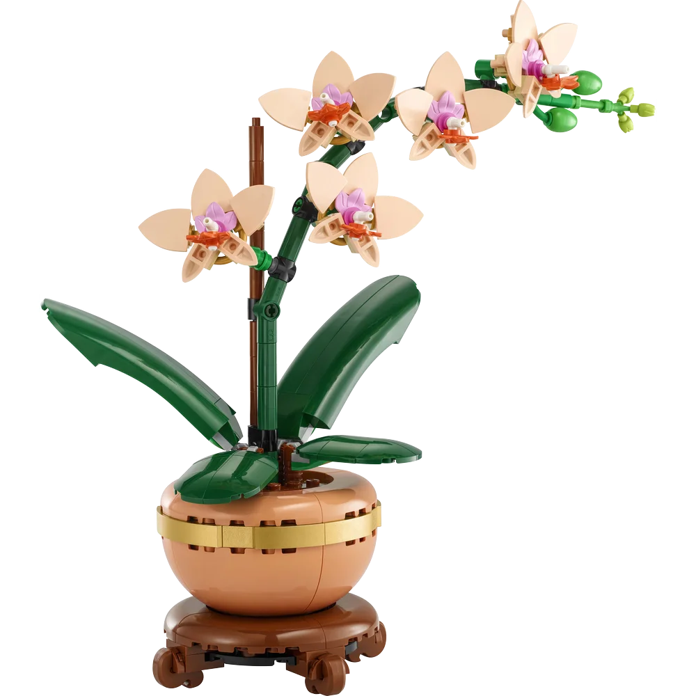 LEGO Botanische collectie - Miniorchidee - 10343