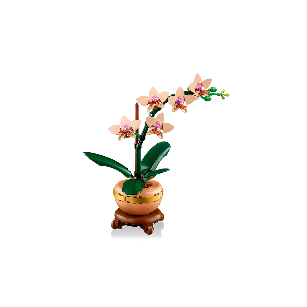 LEGO Botanische collectie - Miniorchidee - 10343
