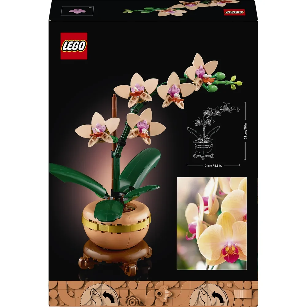 LEGO Botanische collectie - Miniorchidee - 10343