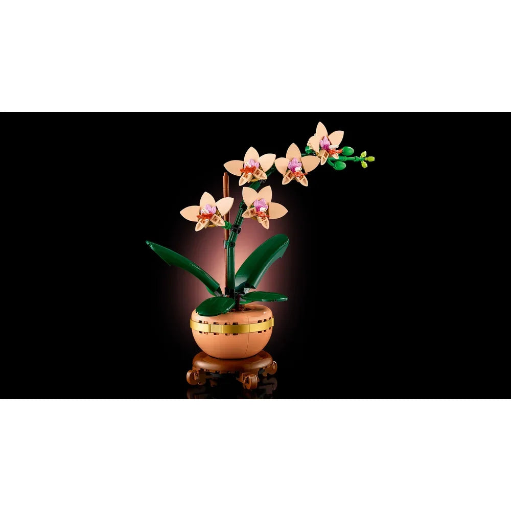 LEGO Botanische collectie - Miniorchidee - 10343