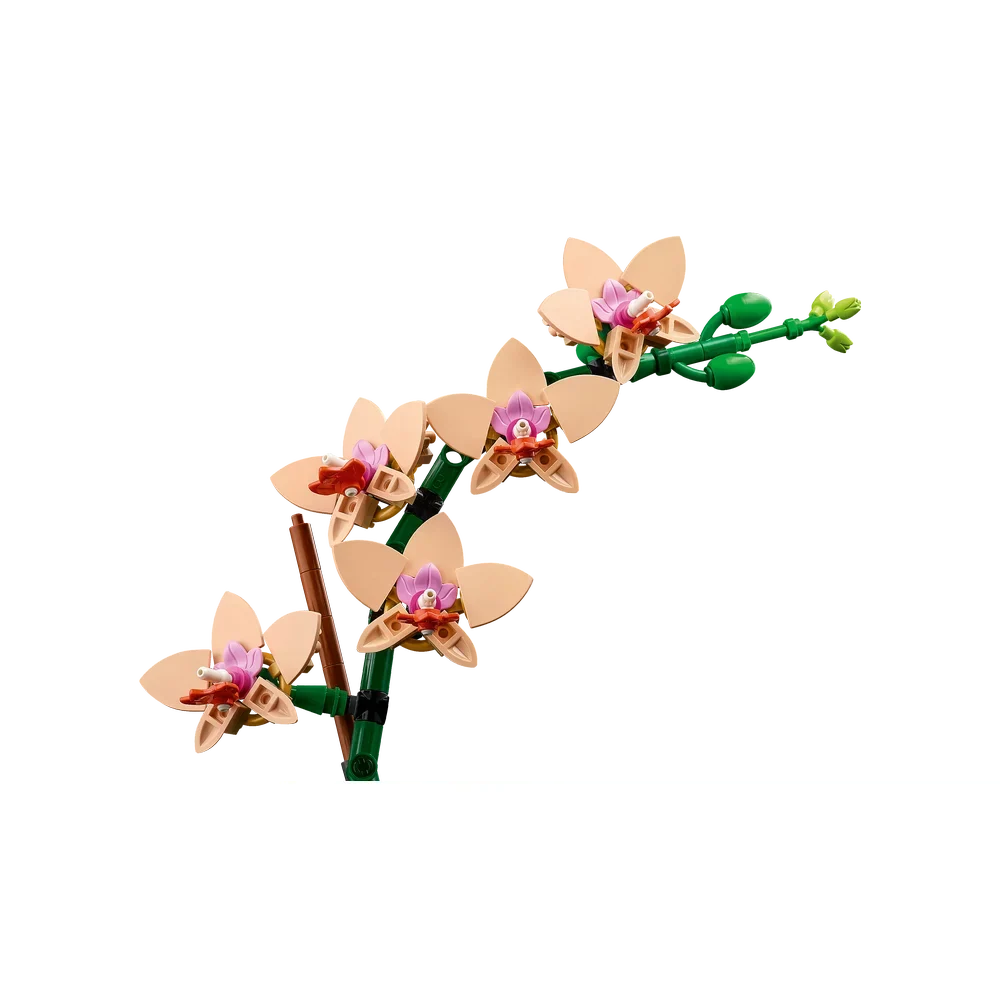 LEGO Botanische collectie - Miniorchidee - 10343