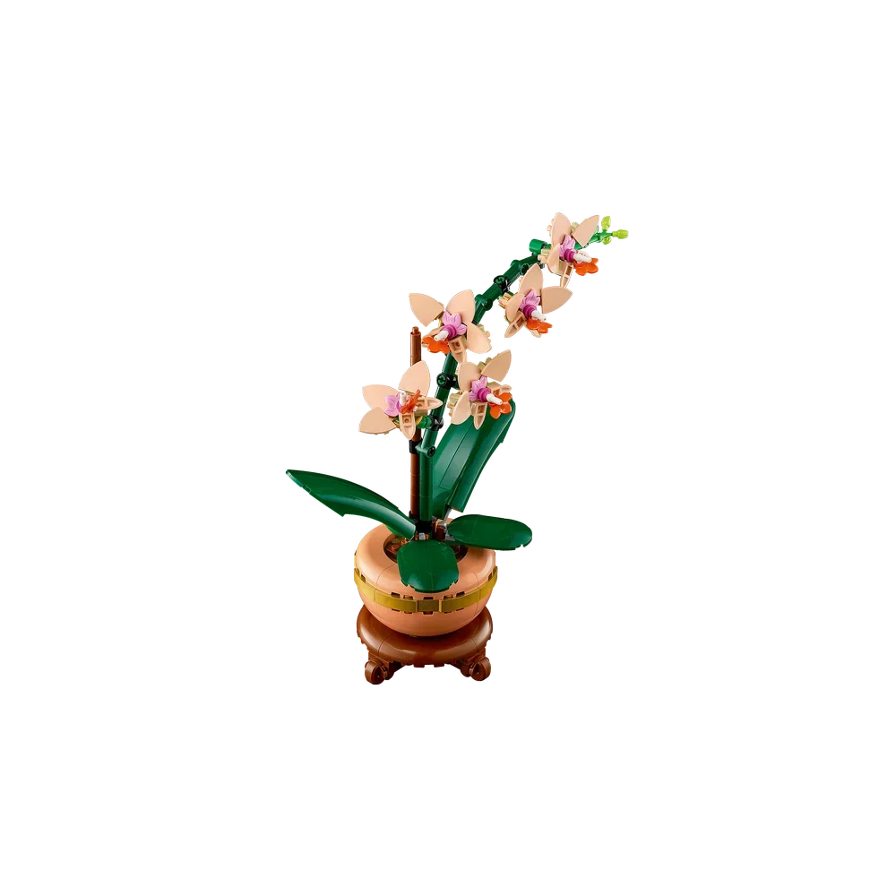 LEGO Botanische collectie - Miniorchidee - 10343